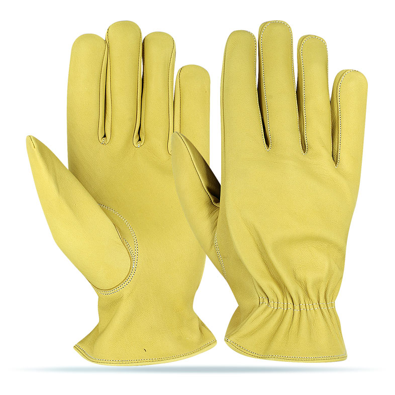 Driving Gloves